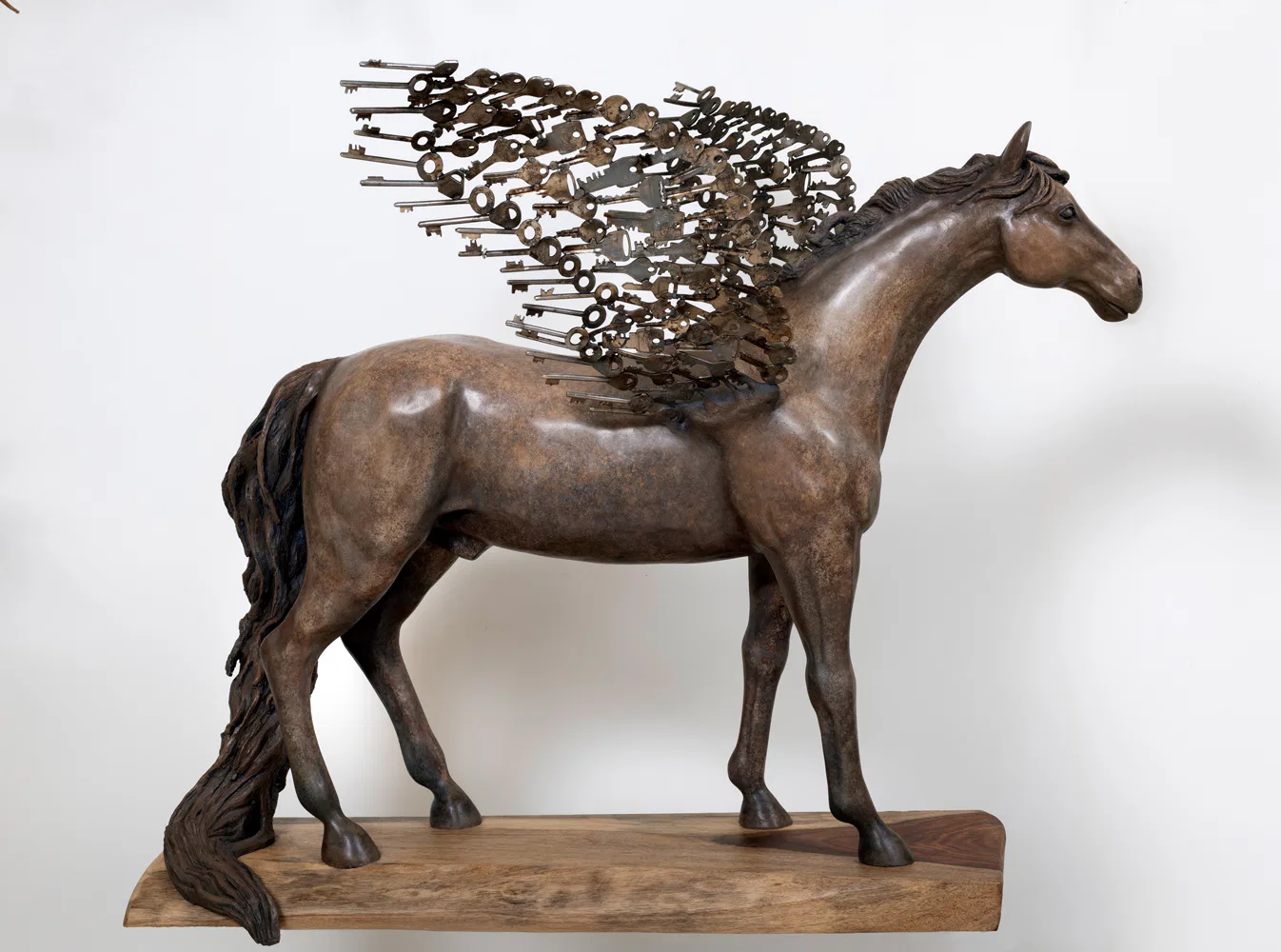 Tomorrow’s Promise