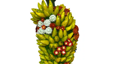 The Feminine Construct: G. Ravinder Reddy & Thota Vaikuntam