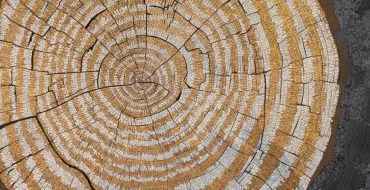 Silent echoes of a flight beyond and whispers of the earth beneath…