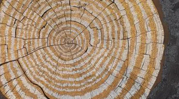 Silent echoes of a flight beyond and whispers of the earth beneath…