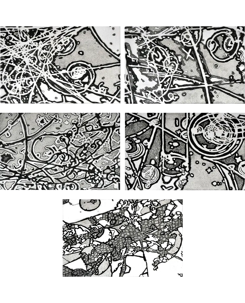 Entangled Reality Series