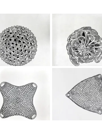 Under the Water Series