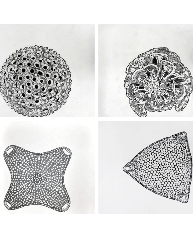 Under the Water Series